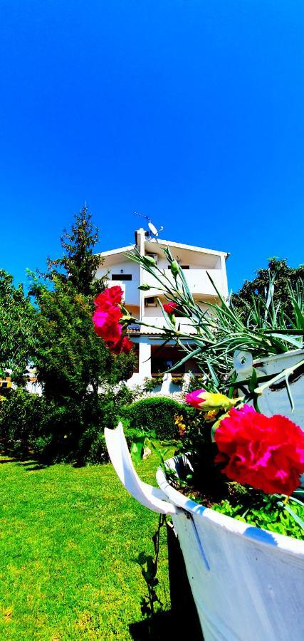 Apartments Sime Sukošan エクステリア 写真